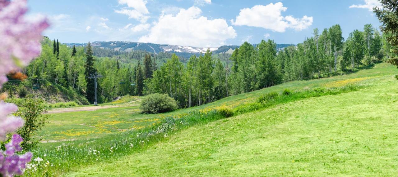 Laurelwood Condominiums 110 Snowmass Village Kültér fotó